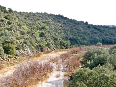 Guadalmena Límite entre Ciudad Real y Jaén