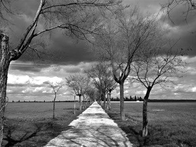 Manzanares Camnio al Cementerio