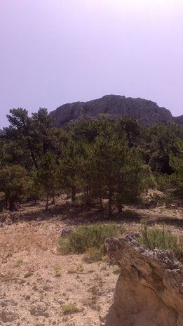 Panorámica del Calar del Cambrón desde el Camino