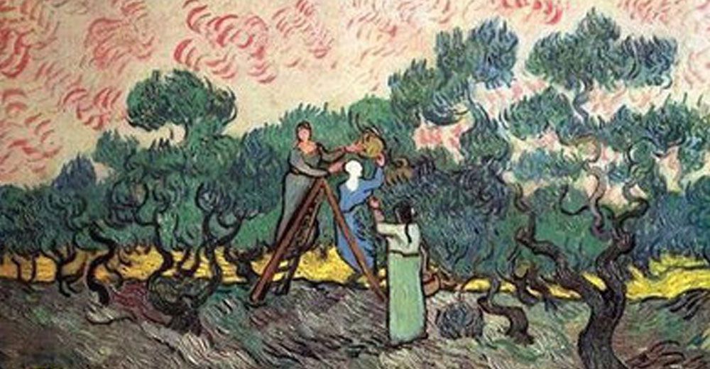 Los Olivos de Van Gogh