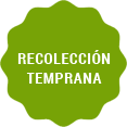 Recoleccion Temprana