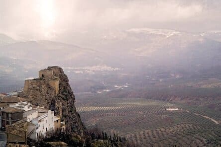 aceite-de-Sierra-Magina