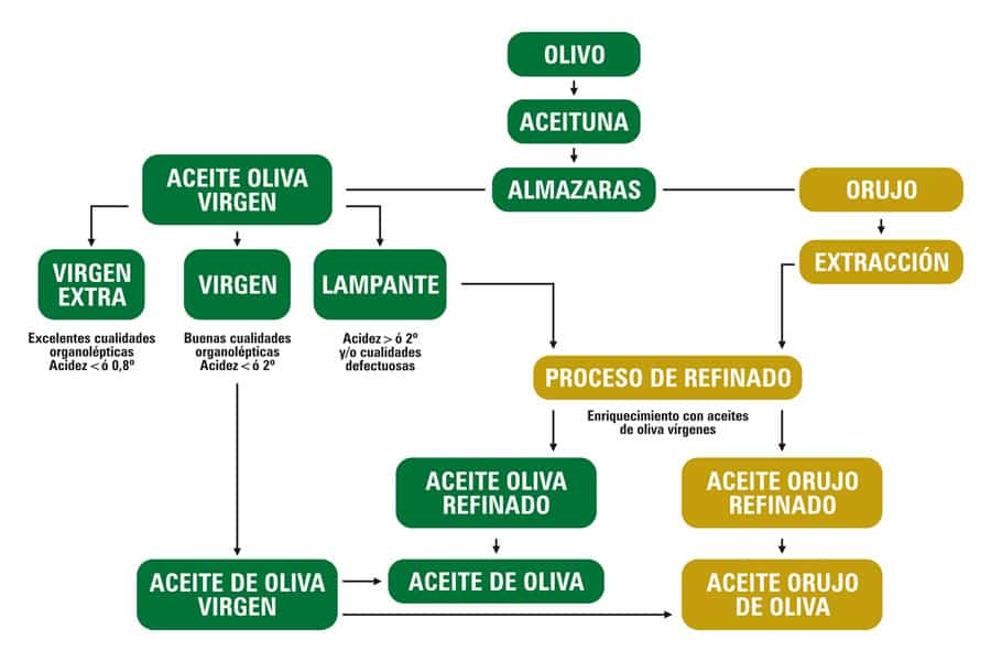 Características organolépticas