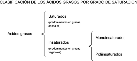 esquema acidos de aceite d eoliva