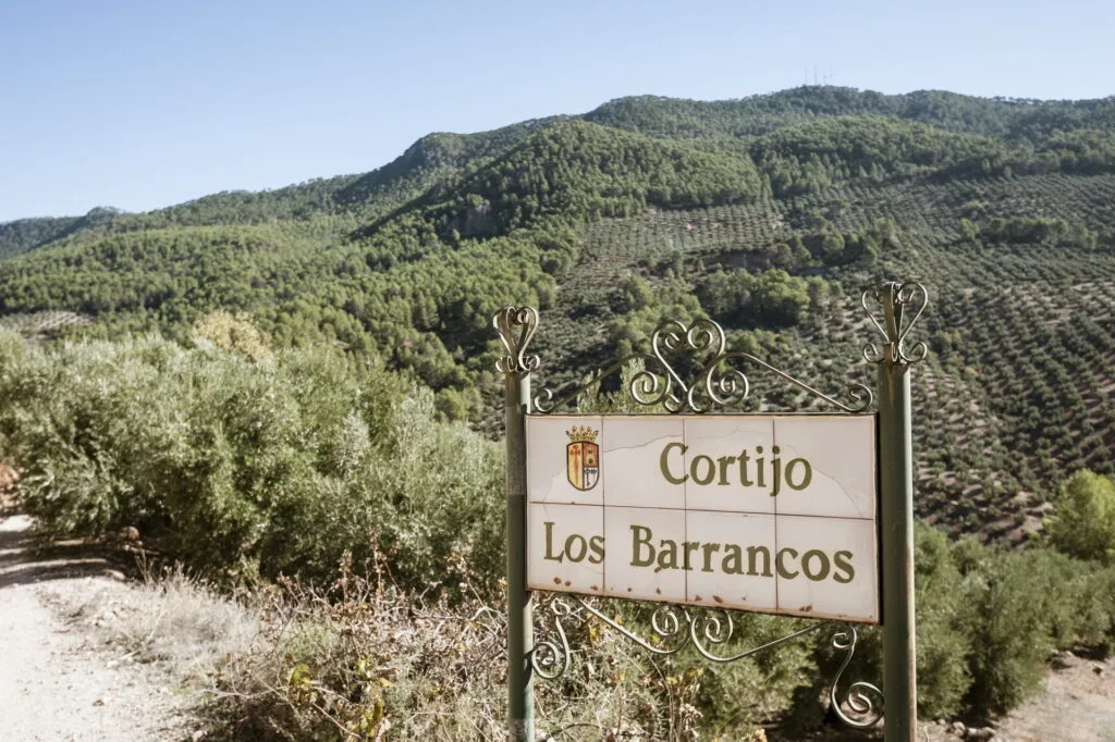 Mi aceite a domicilio - El Olivar